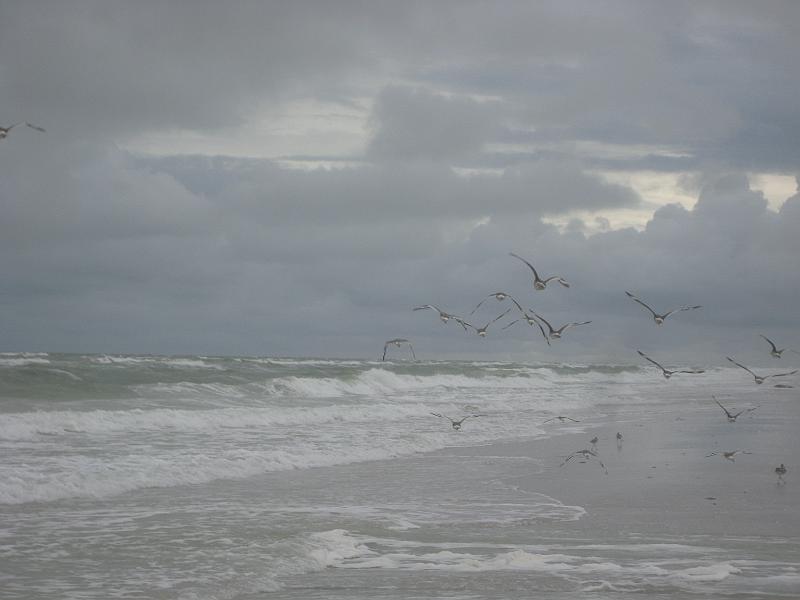 Picture 062